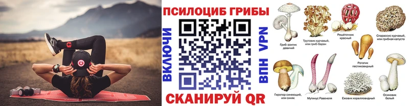 Галлюциногенные грибы прущие грибы  Юрга 